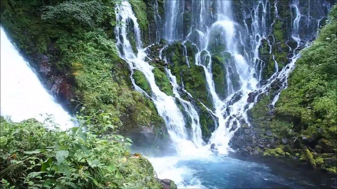 机智问答网页-你更喜欢什么样的求婚场景?最全面的解答平台